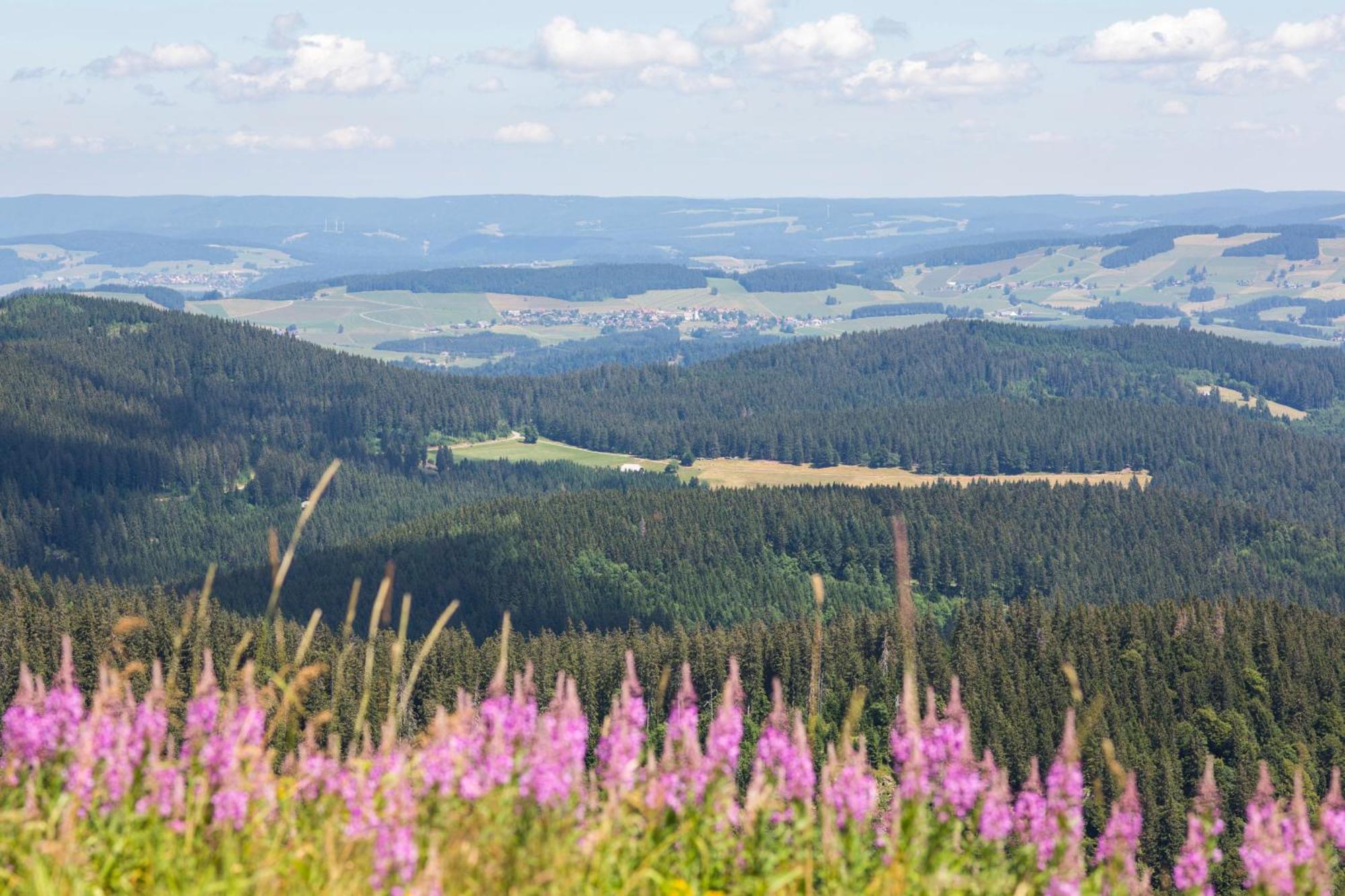 Villa Number 8 Feldberg  Buitenkant foto